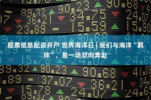 股票低息配资开户 世界海洋日 | 我们与海洋“羁绊”，是一场双向奔赴