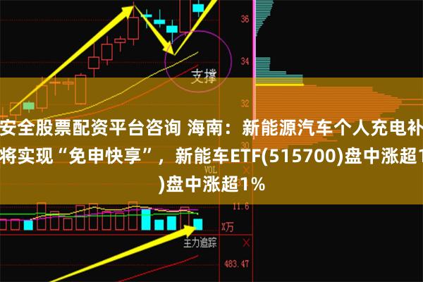 安全股票配资平台咨询 海南：新能源汽车个人充电补贴将实现“免